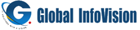 GLOBAL INFOVISION PRIVATE LIMITED